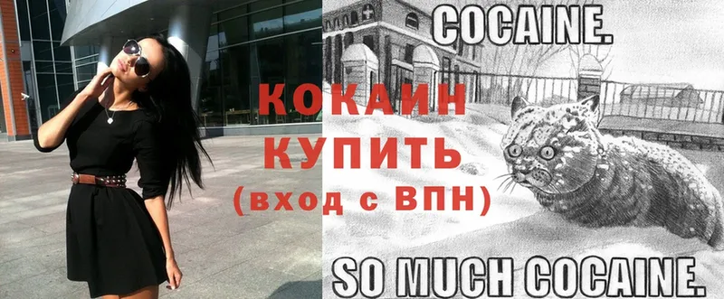 COCAIN Перу  сколько стоит  Тавда 